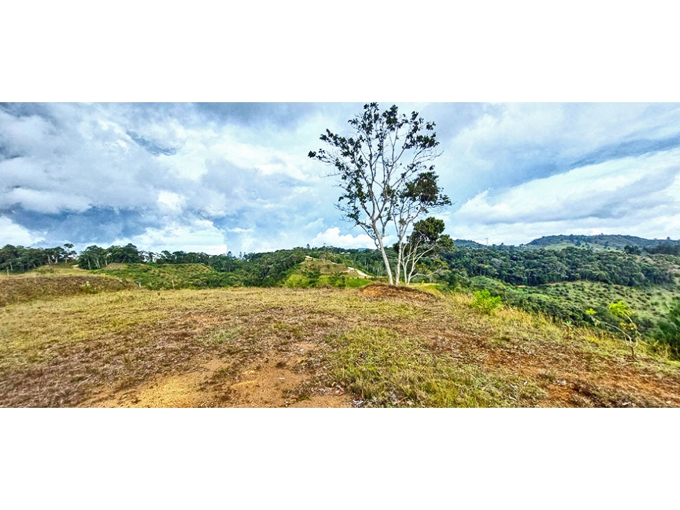 Vendo Hermoso lote en El Retiro vía Pantanillo sector Lejos del Nido — foto 6