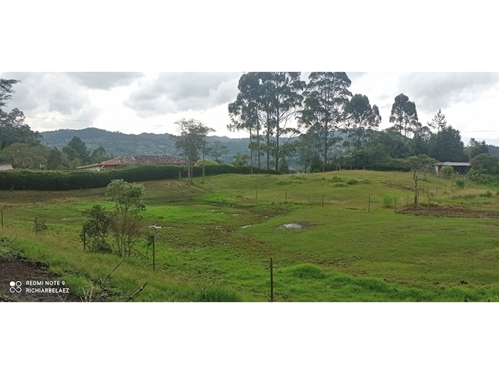 Finca en hermoso lote plano en Guarne Vereda Los Molinos / Los Mejía — foto 5