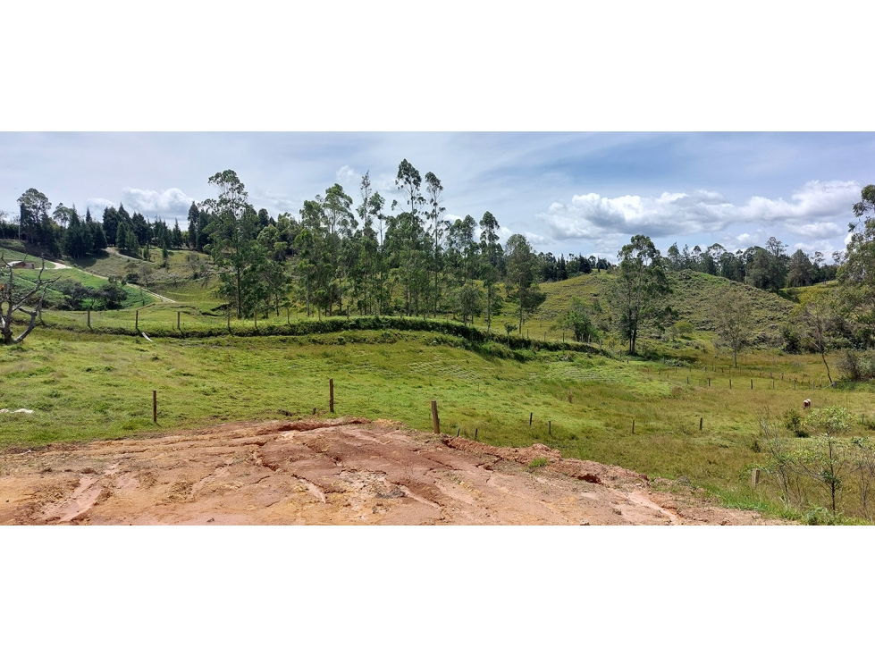 Vendo casa independiente, V. Mampuesto, se puede partir en 4 lotes — foto 5