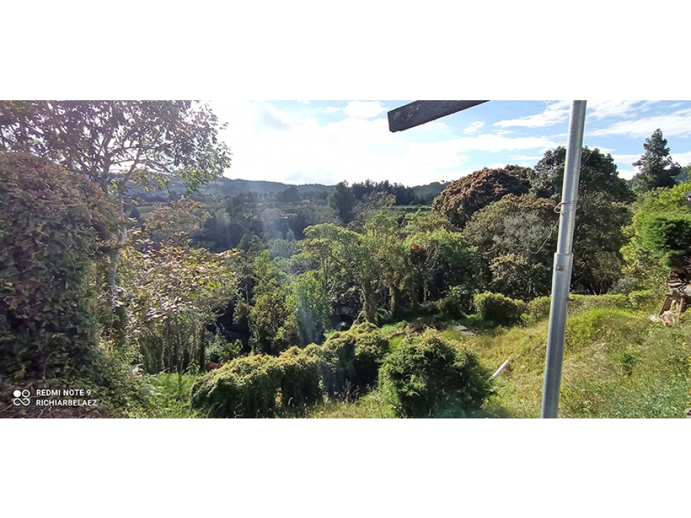 Lote en el Alto de palmas de 31.090 M2 con licencia múltiple — foto 4