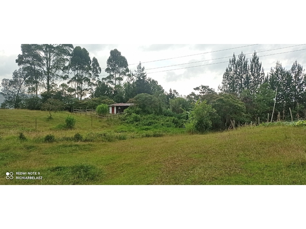 Finca en hermoso lote plano en Guarne Vereda Los Molinos / Los Mejía — foto 4