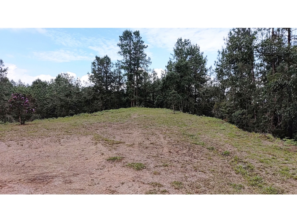 Vendo gran lote para 2 casas antes del alto de Palmas, unidad cerrada — foto 5