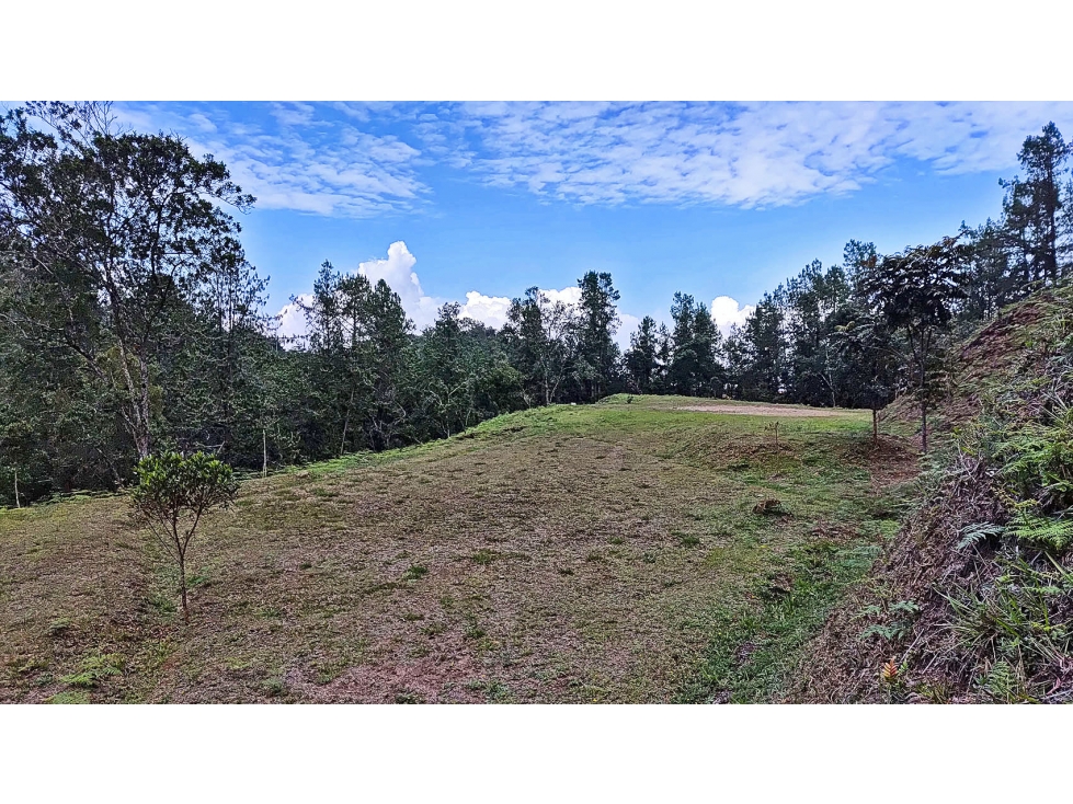 Vendo gran lote para 2 casas antes del alto de Palmas, unidad cerrada — foto 3