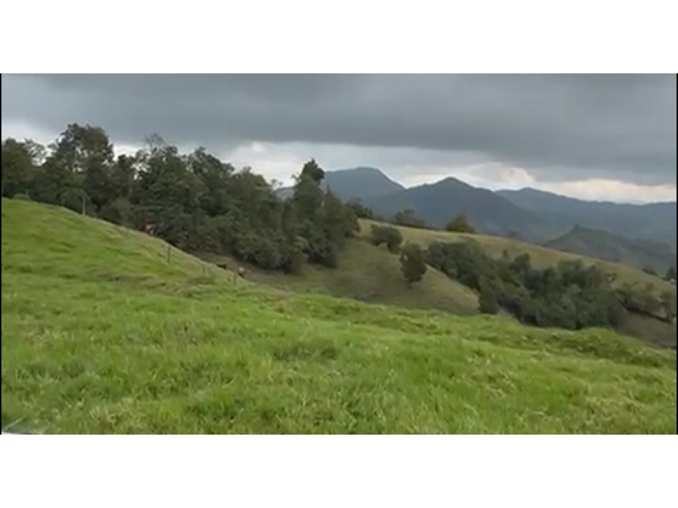 Vendo lote Unidad Cerrada a 10 mins. De La Ceja vía Abejorral/Llanadas — foto 4