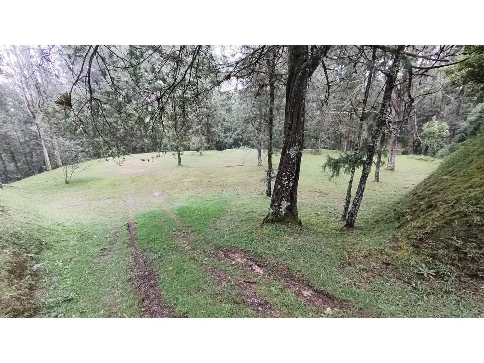 Vendo hermoso lote antes del alto de Palmas en unidad cerrada — foto 5