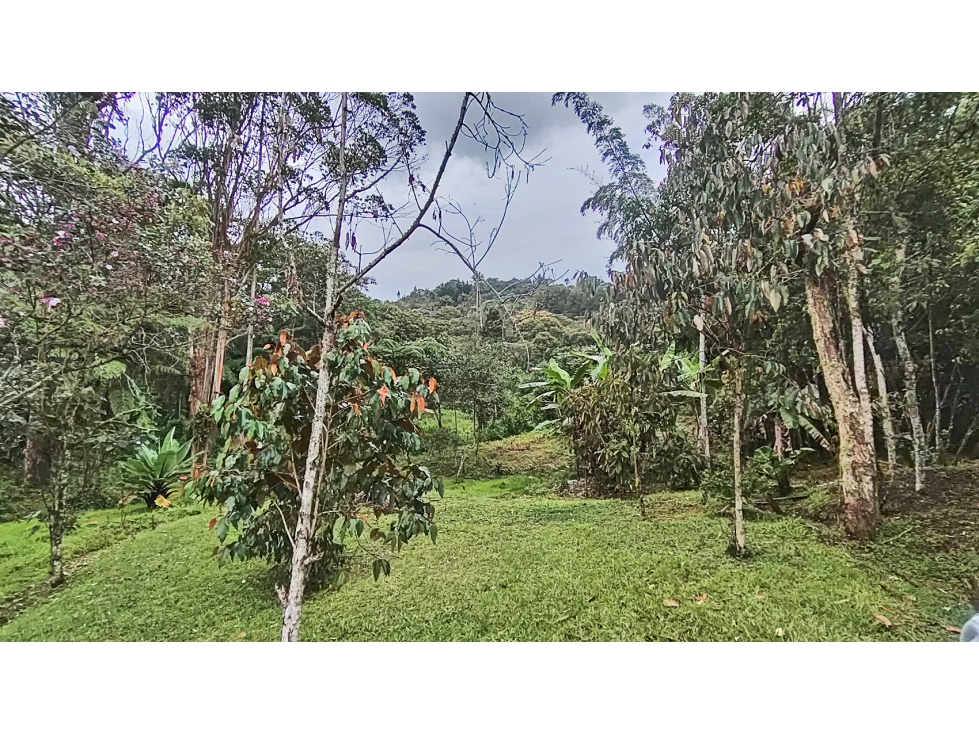 Vendo hermoso lote semi plano indep., El Tablazo Vereda La Oculta — foto 5