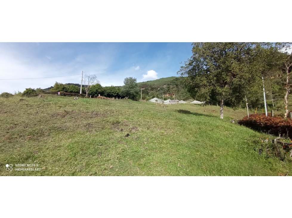 Lote independiente en Palmas con vista a la ciudad — foto 5
