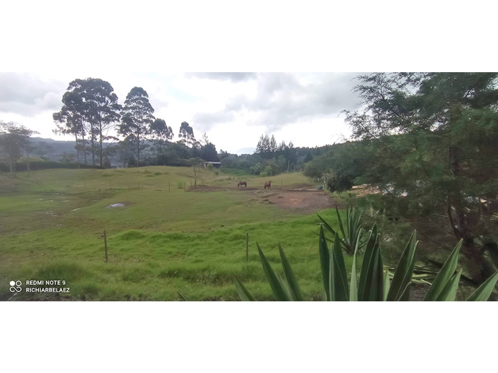 Finca en hermoso lote plano en Guarne Vereda Los Molinos / Los Mejía — foto 6