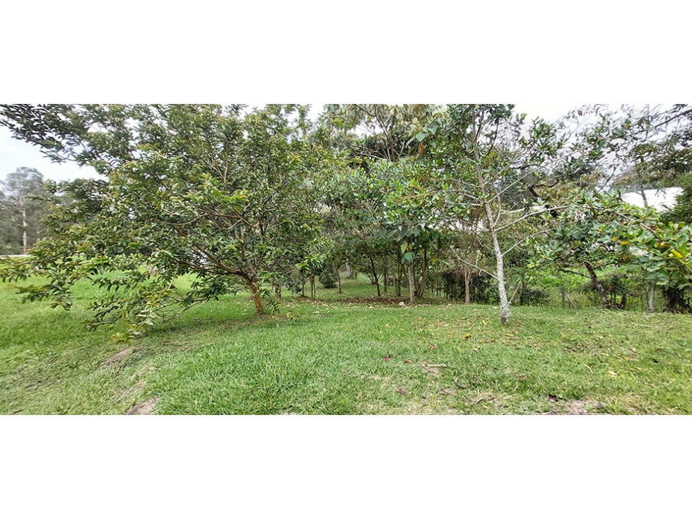 Vendo lote El Retiro sector Carabanchel, unidad cerrada — foto 6