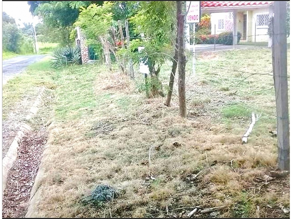 Terreno 800 m2 en Bahía Serena - Coronado (RB) - 6