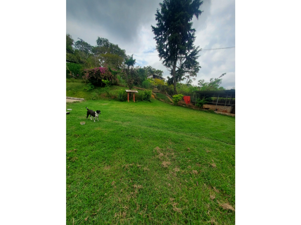 SE VENDE FINCA VÍA A YANACONAS 3 CASAS A 2O MIN DE CALI W8222978SV — foto 2