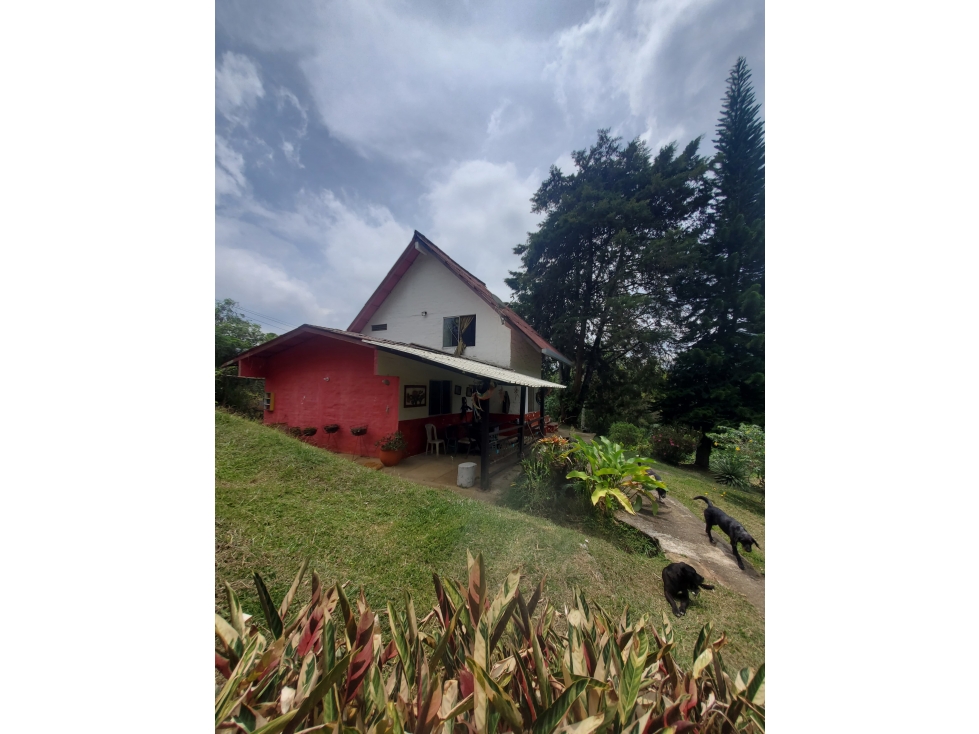 SE VENDE FINCA VÍA A YANACONAS 3 CASAS A 2O MIN DE CALI W8222978SV — foto 4