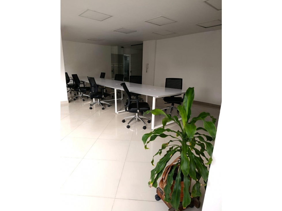 OFICINA EN ARRIENDO LAURELES COD 9920