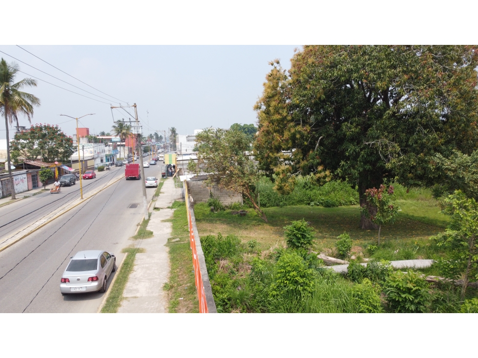 Trreno en Renta AV. Lazaro Cardenas - 2