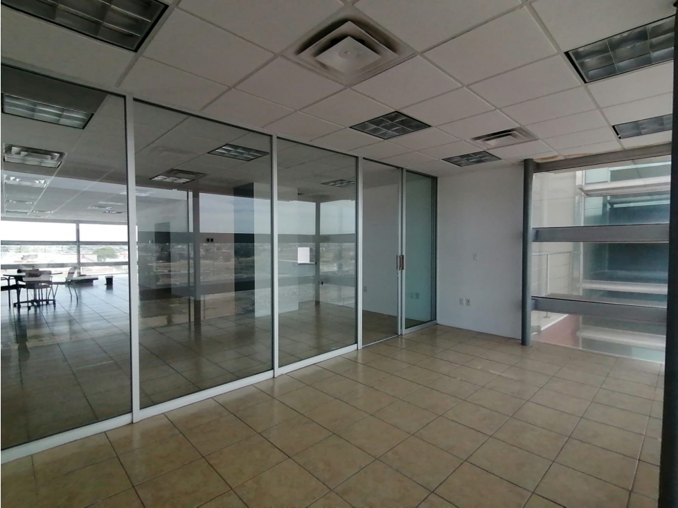 Oficinas ejecutiva con muebles en Renta. Sector Teófilo Borunda - 2