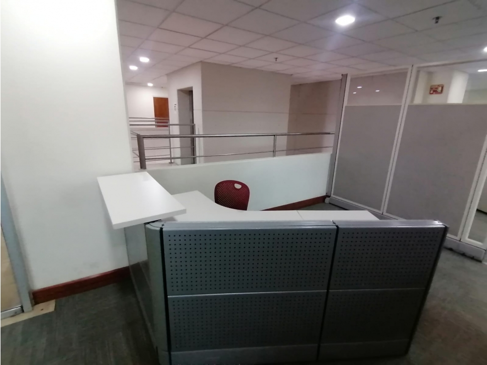 Oficinas ejecutiva amueblada en renta. Sector Teófilo Borunda - 6