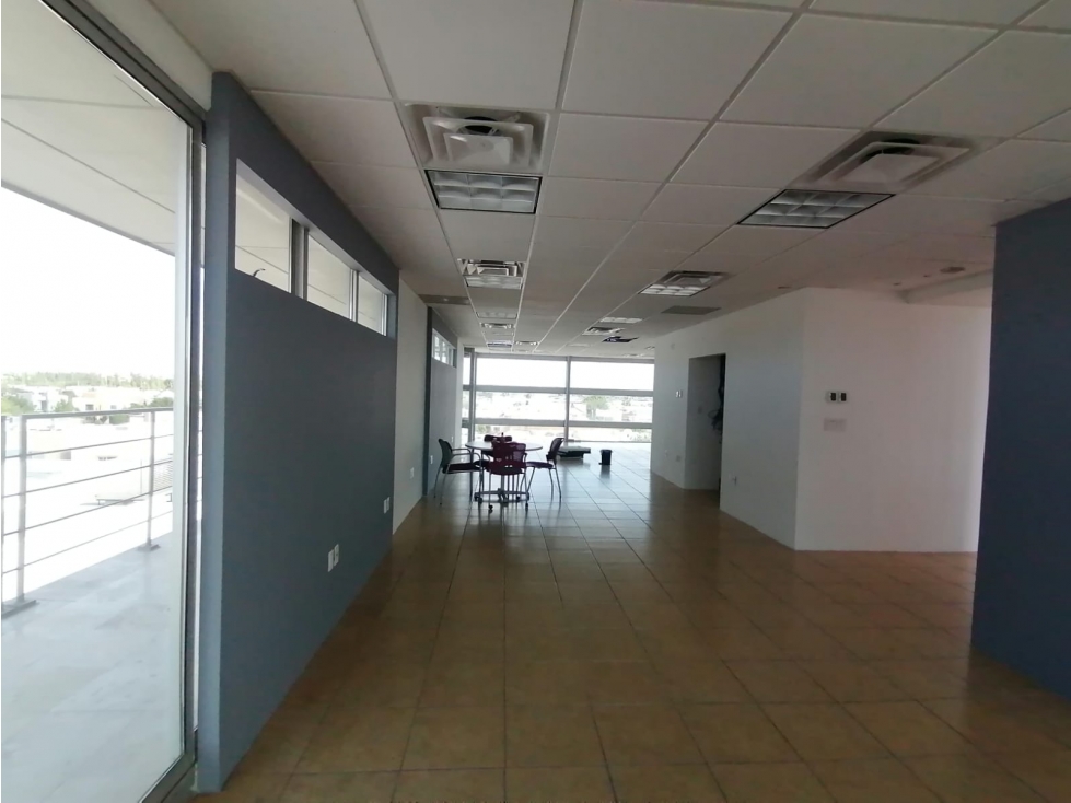 Oficinas ejecutiva con muebles en Renta. Sector Teófilo Borunda - 5