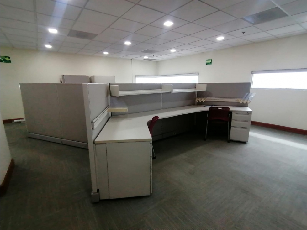 Oficinas ejecutiva amueblada en renta. Sector Teófilo Borunda - 5