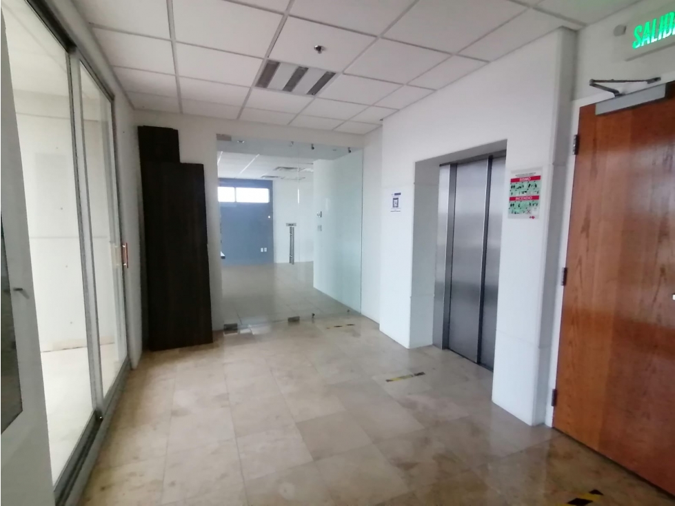 Oficinas ejecutiva con muebles en Renta. Sector Teófilo Borunda - 4