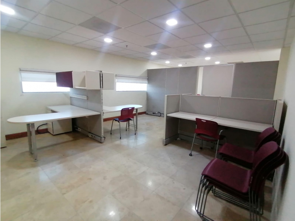Oficinas ejecutiva amueblada en renta. Sector Teófilo Borunda - 2