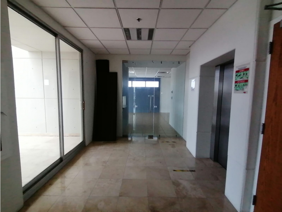 Oficinas ejecutiva con muebles en Renta. Sector Teófilo Borunda - 6