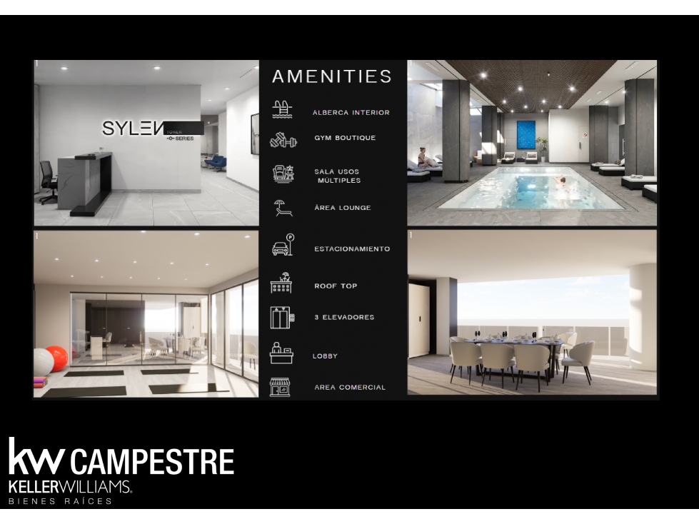LOFT Y LARGE LOFT SYLEN Living Series | Zona Pronaf Juárez Chih — foto 6