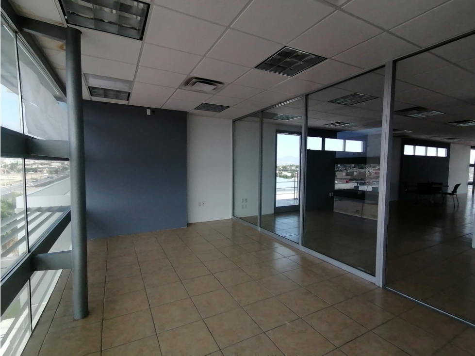 Oficinas ejecutiva con muebles en Renta. Sector Teófilo Borunda - 3