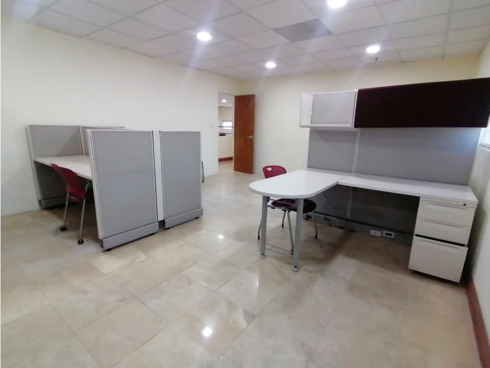 Oficinas ejecutiva amueblada en renta. Sector Teófilo Borunda - 4