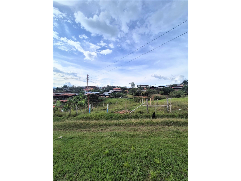 SE VENDE LOTE EN EL CORREGIMIENTO DE LA MARINA - TULUA, VALLE - 2
