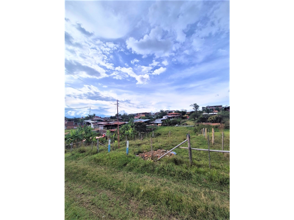 SE VENDE LOTE EN EL CORREGIMIENTO DE LA MARINA - TULUA, VALLE - 3