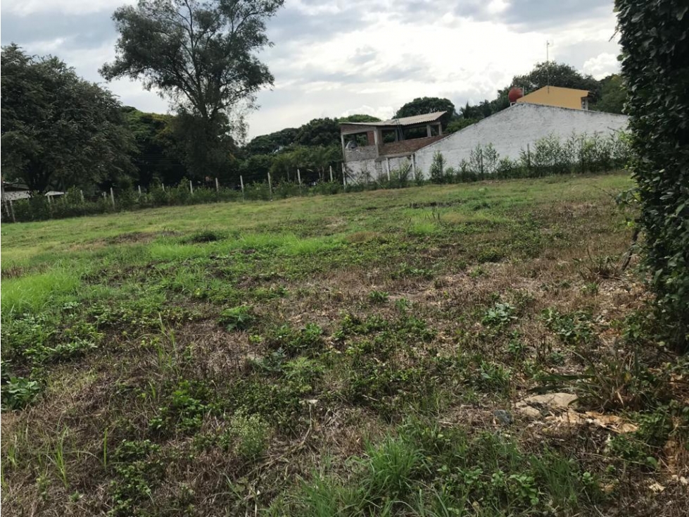 SE VENDE LOTE EN LOS CHANCOS - VIA SAN PEDRO, VALLE - 4