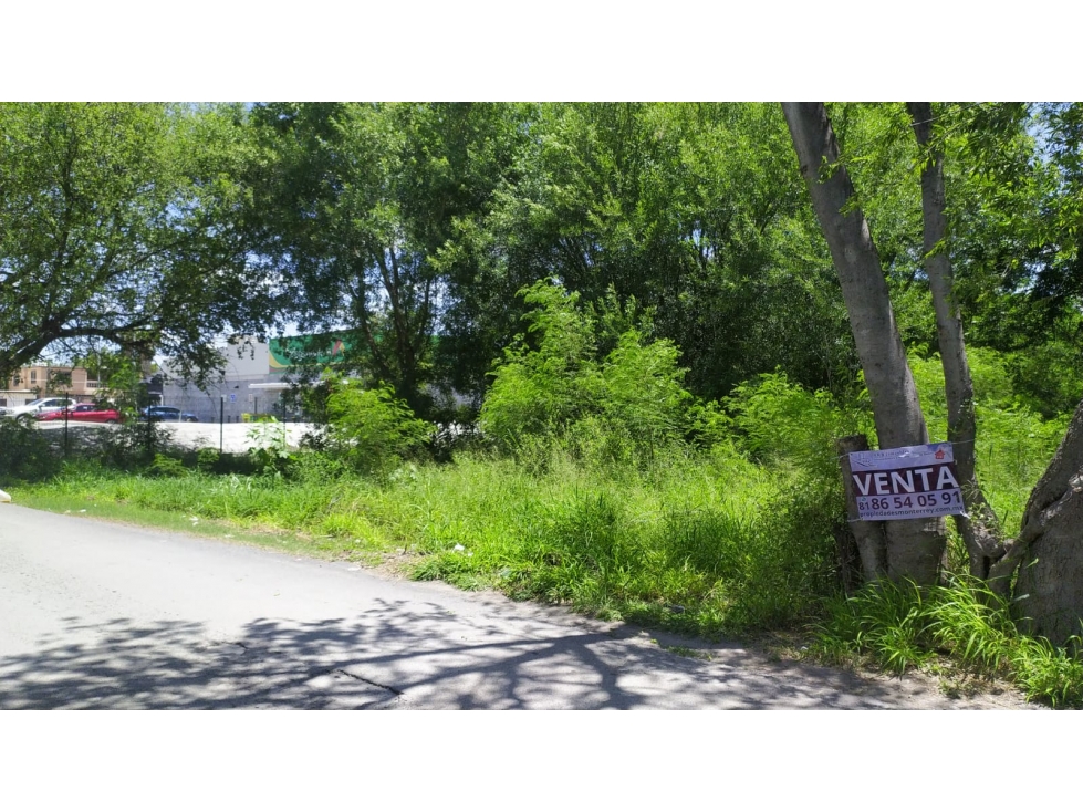 Terreno en VENTA Centro, Cerralvo - 1