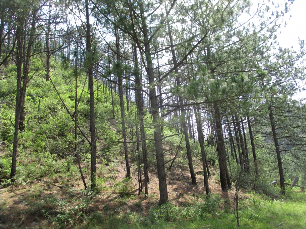 Terreno en VENTA Cienega de Gonzalez Santiago