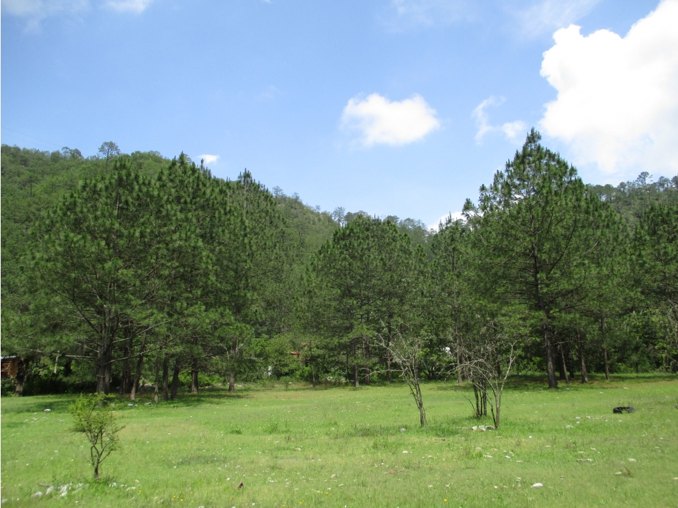 Terreno Plano en VENTA Cienega de Gonzalez Santiago — foto 6
