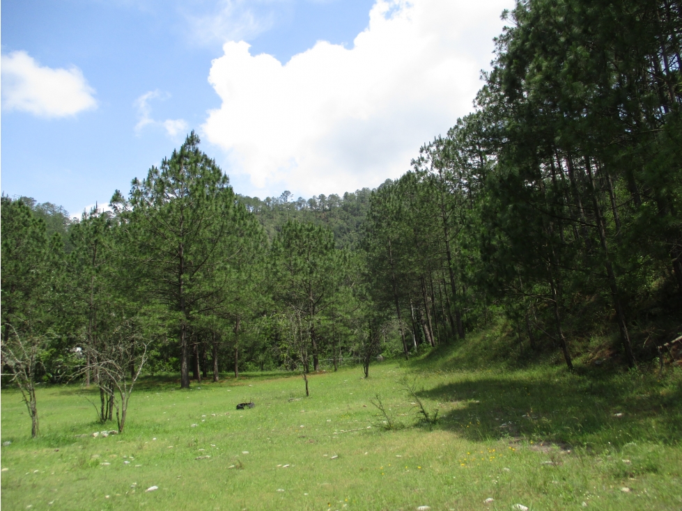 Terreno Plano en VENTA Cienega de Gonzalez Santiago — foto 3