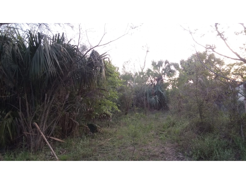 Terreno en Venta El Saucito, Cadereyta - 3