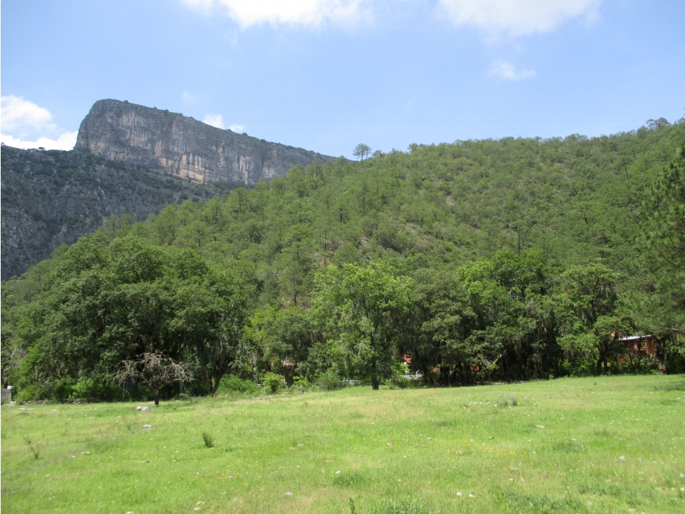 Terreno Plano en VENTA Cienega de Gonzalez Santiago — foto 2