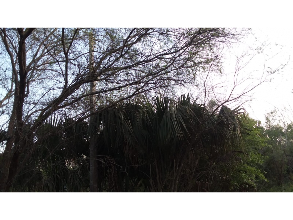 Terreno en Venta El Saucito, Cadereyta - 6