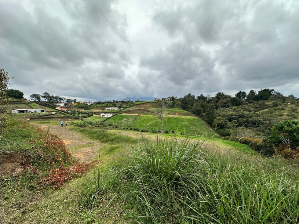 LOTE EN VENTA, VEREDA SAMARIA, CARMEN DE VIBORAL