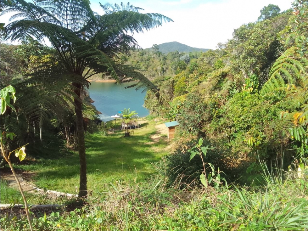 VENTA DE LOTE EN GUATAPE