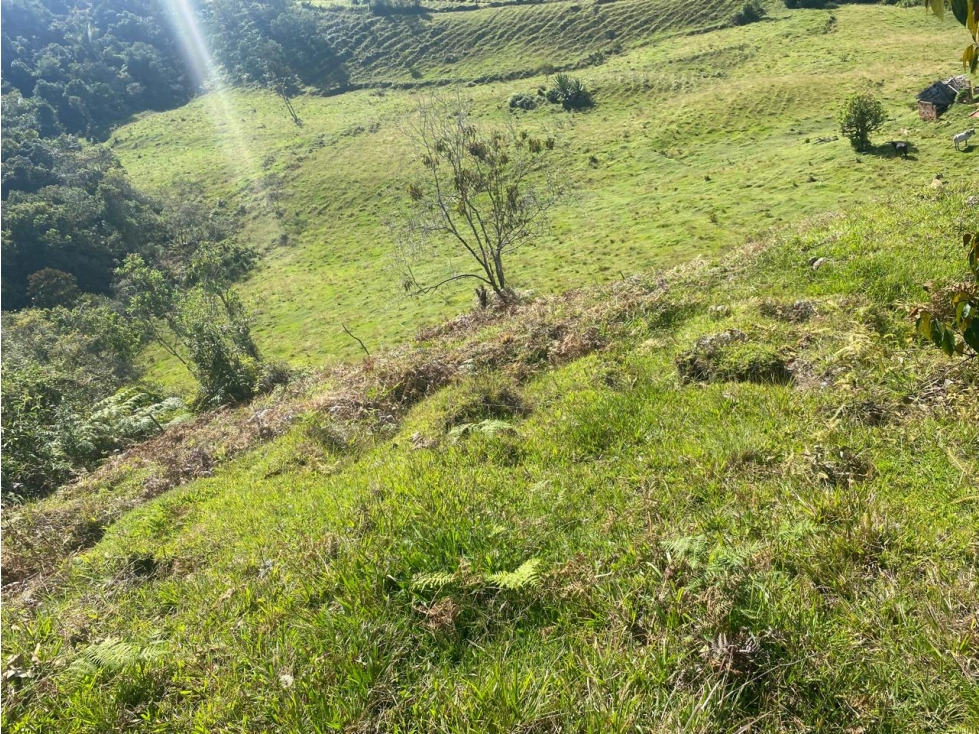 Venta de Lote en El Peñol Antioquia - 1
