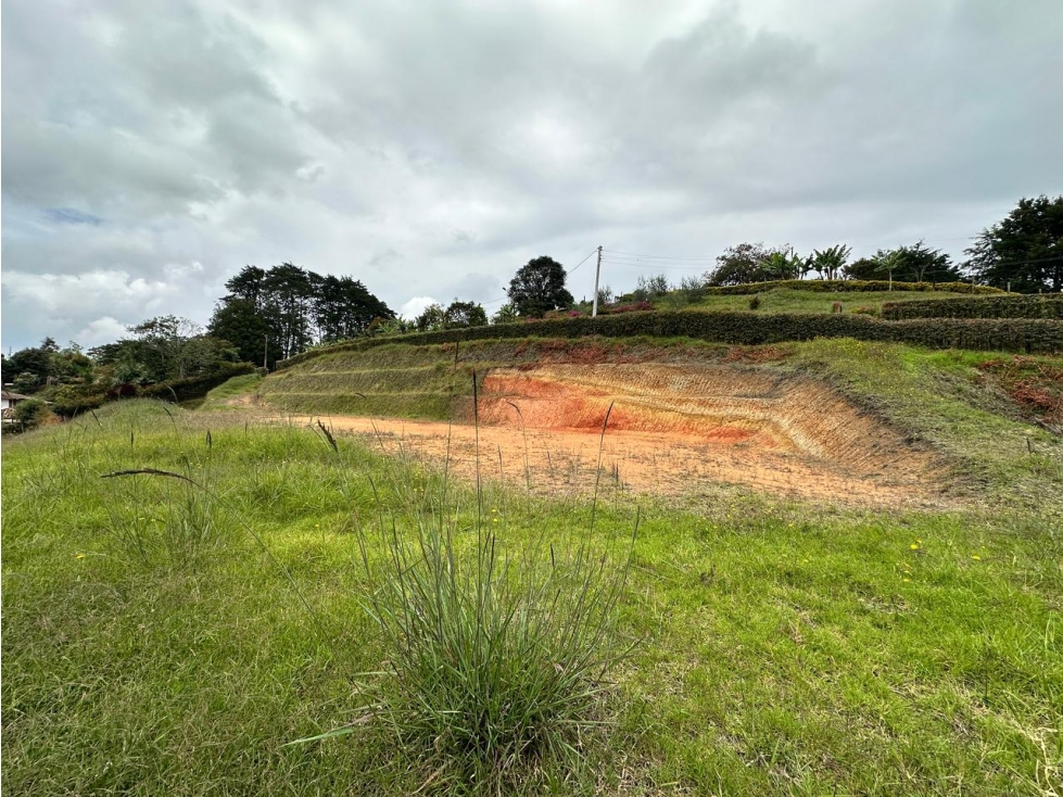 LOTE EN VENTA, VEREDA SAMARIA, CARMEN DE VIBORAL - 2