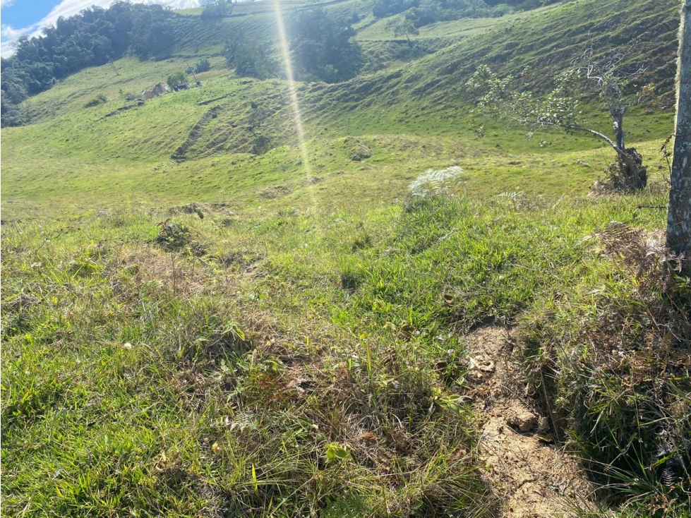 Venta de Lote en El Peñol Antioquia - 2