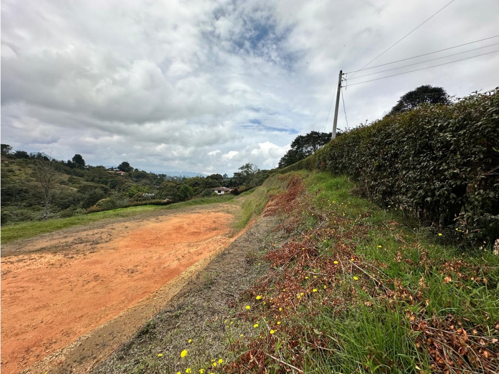 LOTE EN VENTA, VEREDA SAMARIA, CARMEN DE VIBORAL - 3