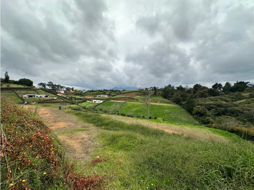 LOTE EN VENTA, VEREDA SAMARIA, CARMEN DE VIBORAL - 4
