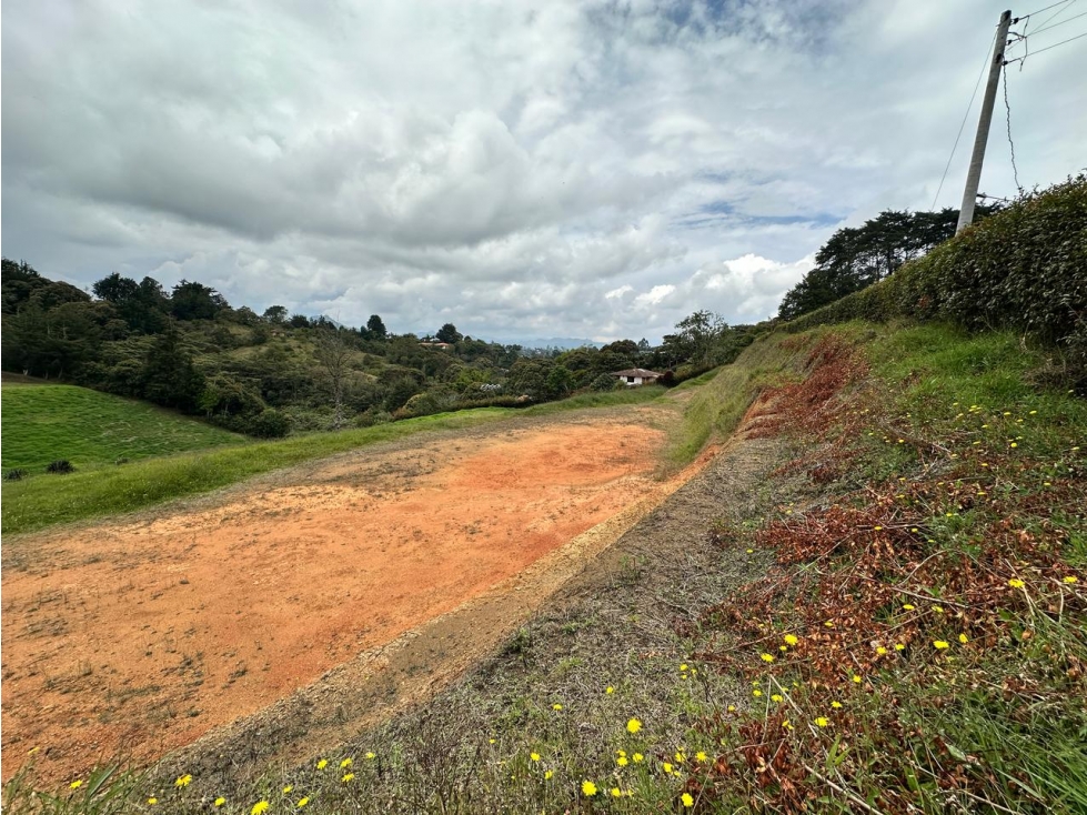 LOTE EN VENTA, VEREDA SAMARIA, CARMEN DE VIBORAL - 5