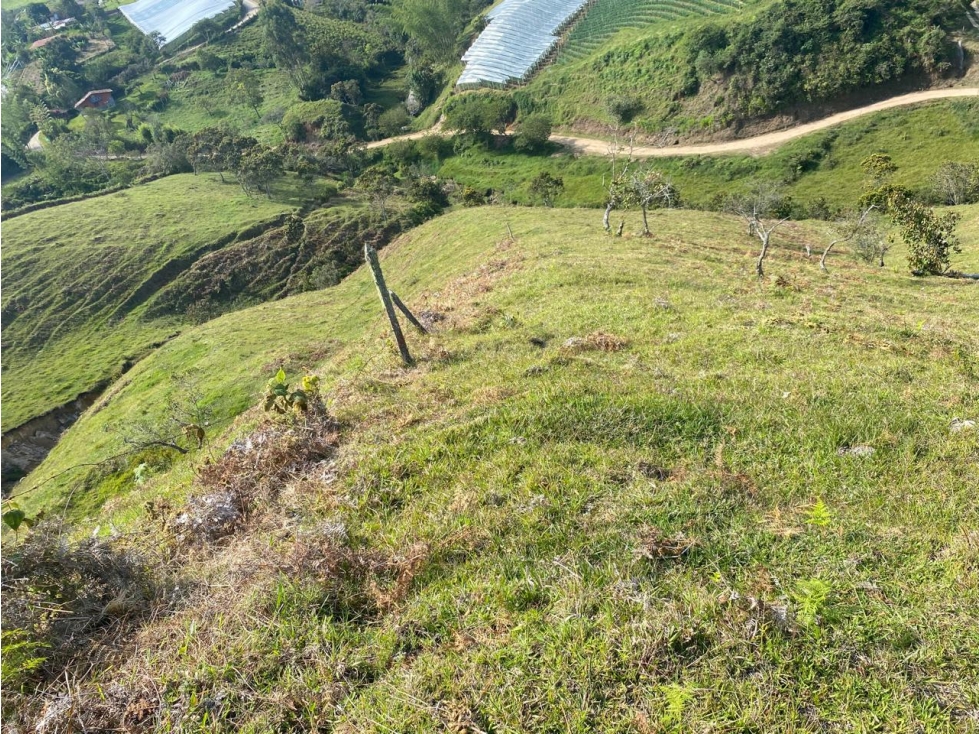 Venta de Lote en El Peñol Antioquia - 5