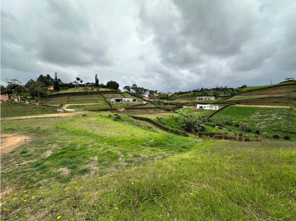 LOTE EN VENTA, VEREDA SAMARIA, CARMEN DE VIBORAL - 6