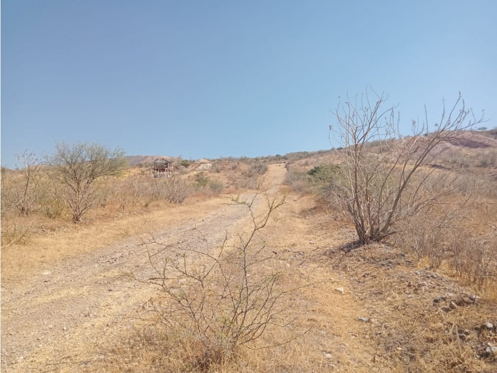 VENTA DE TERRENO. AGUAS BUENAS - 2