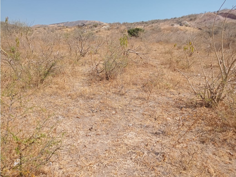 VENTA DE TERRENO. AGUAS BUENAS - 5